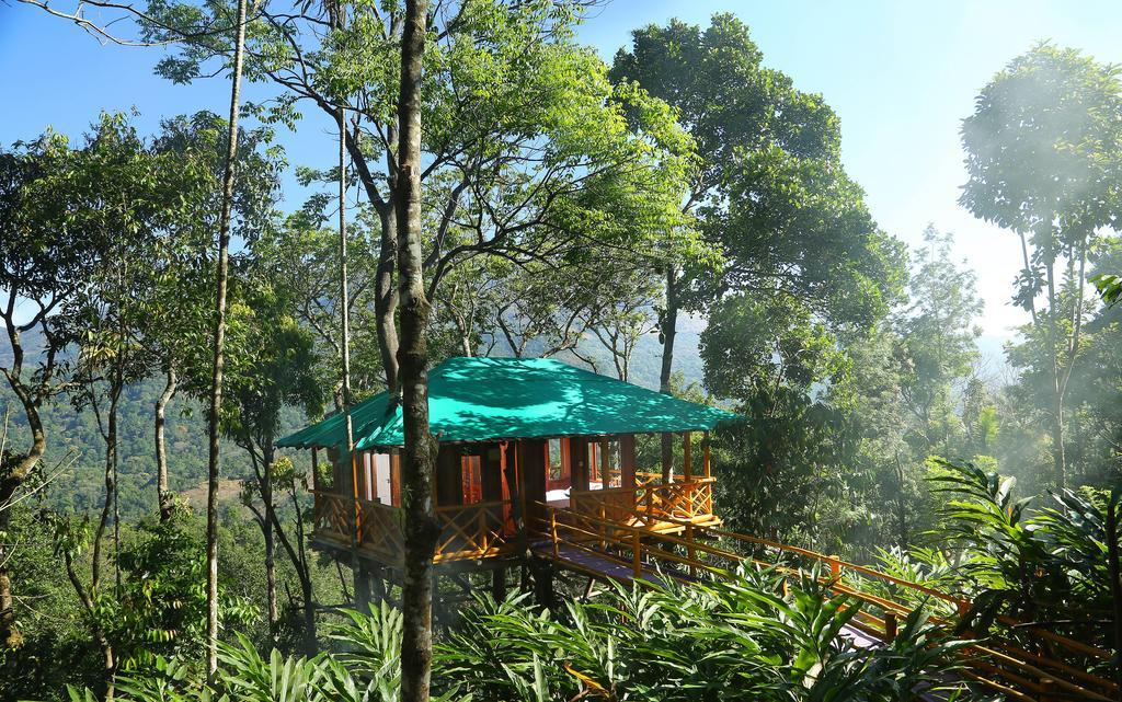 Tree House
