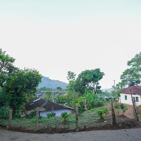 Tea Valley Resort, Munnar-2