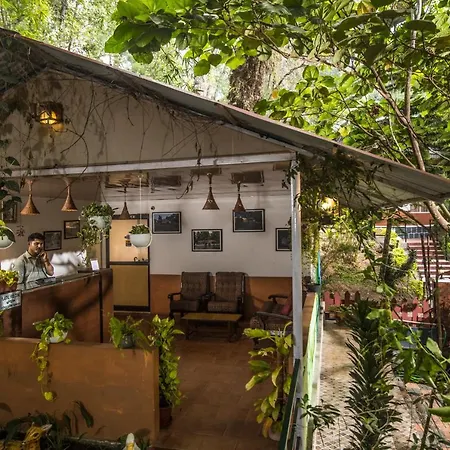Spice Jungle Resort-2