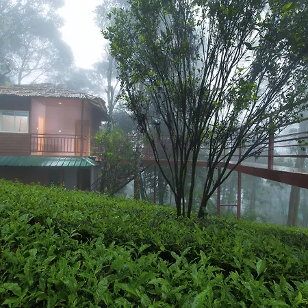 Dream Catcher Plantation Resort-3